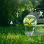 ¿Qué es el saneamiento ambiental y por qué es importante para las empresas?