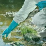 Calidad del agua y saneamiento: ¿qué deben considerar las empresas?