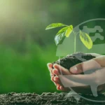 ¿Qué servicios forman parte del saneamiento ambiental empresarial?